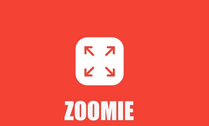 zoomie web sitesi giriş